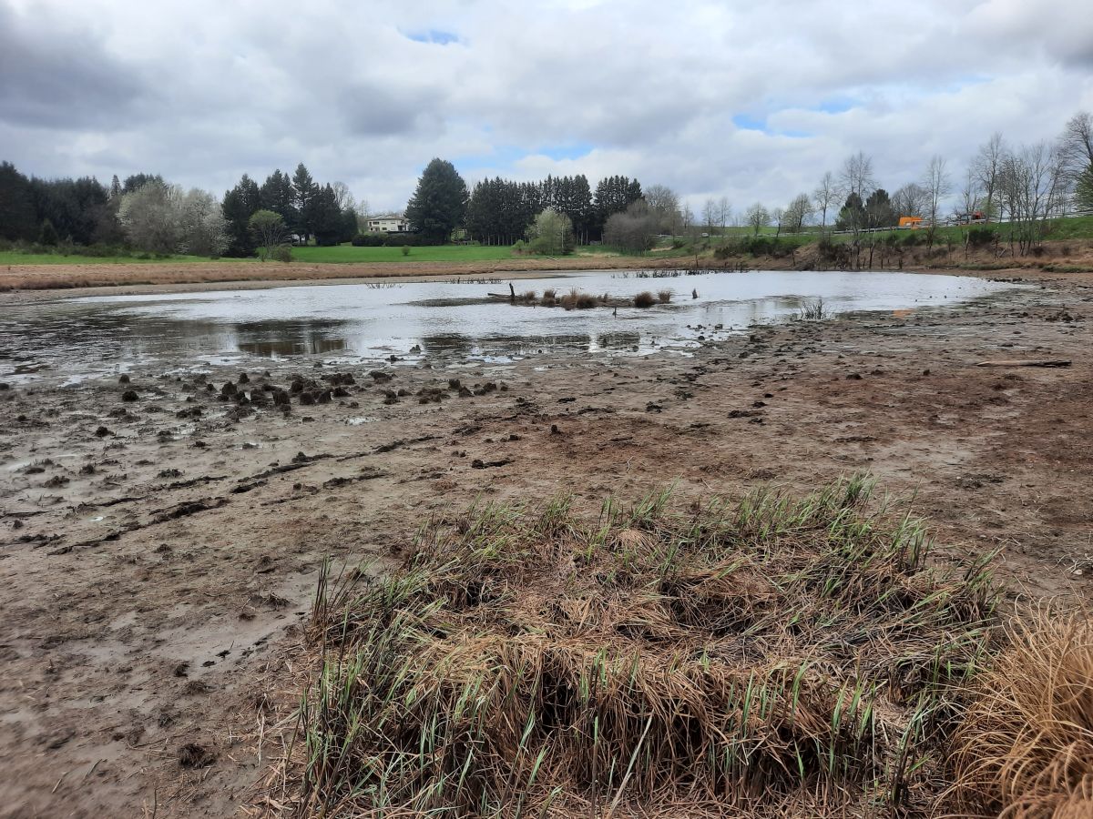 Zerstörter Biebersee